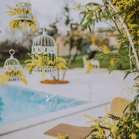 Boutique San Rocco Отель Бртонигла