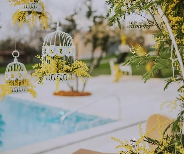 Boutique San Rocco Hotel Brtonigla