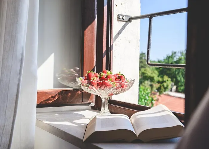 Boutique San Rocco 4* Brtonigla